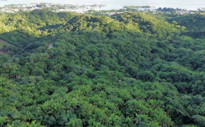 Land Lot for Sale Palmetto Bay Rd, Bay Islands. Photo#8