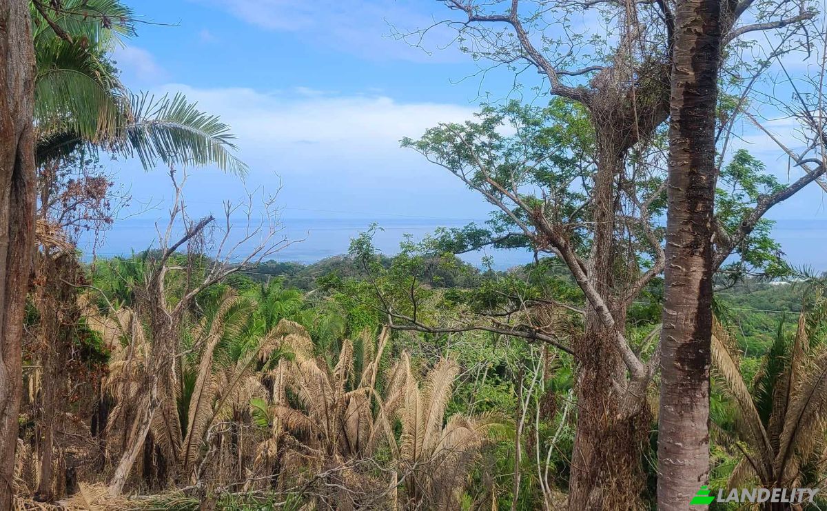 Land Lot for Sale Palmetto Bay Rd, Bay Islands, French Harbour, Roatan, Bay Islands Department, Honduras. Photo 9