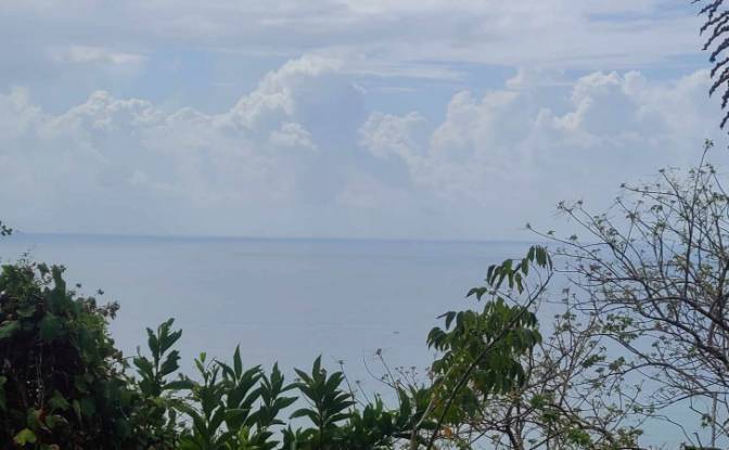 Land Lot for Sale Palmetto Bay Rd, Bay Islands. Photo#13