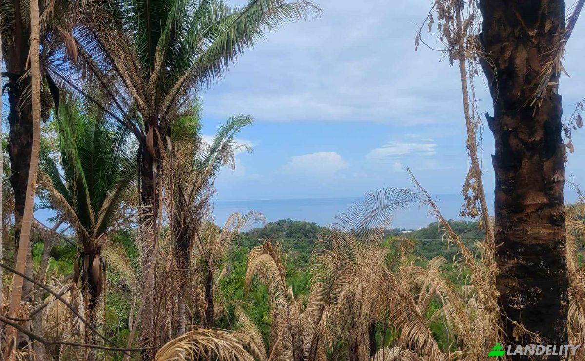 Land Lot for Sale Palmetto Bay Rd, Bay Islands, French Harbour, Roatan, Bay Islands Department, Honduras. Photo 14