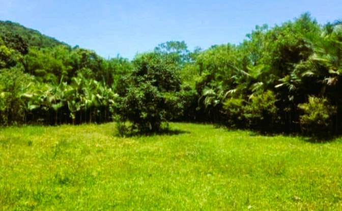 Land Lot for Sale - Mirantao, Brazil