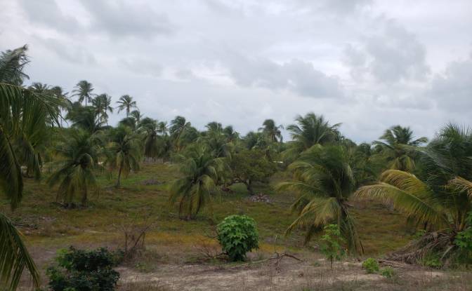 Land Lot for Sale - Aranau, Brazil