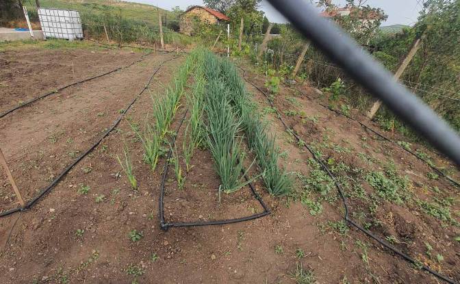 Land Lot for Sale 8110 Burgas, Balgarovo. Photo#22 Land Lot for Sale 8110 Burgas, Balgarovo. Photo#22