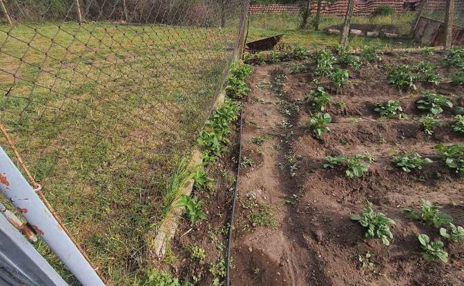 Land Lot for Sale 8110 Burgas, Balgarovo. Photo#24 Land Lot for Sale 8110 Burgas, Balgarovo. Photo#24