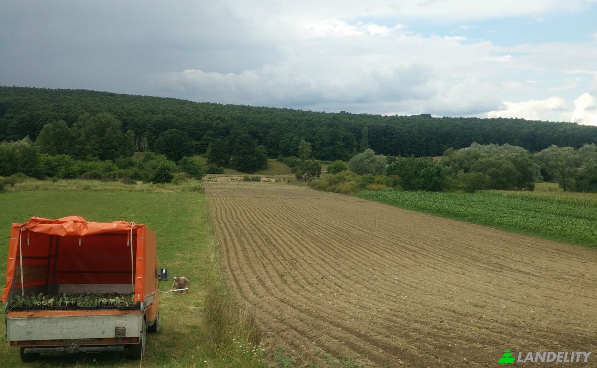 Investing/Development for Sale DJ108G, Starciu, Horoatu Crasnei, Salaj, Romania. Photo 1