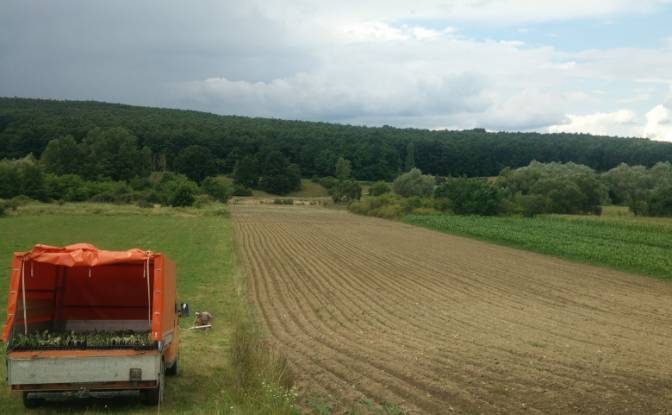 Investing/Development for Sale - Starciu, Romania
