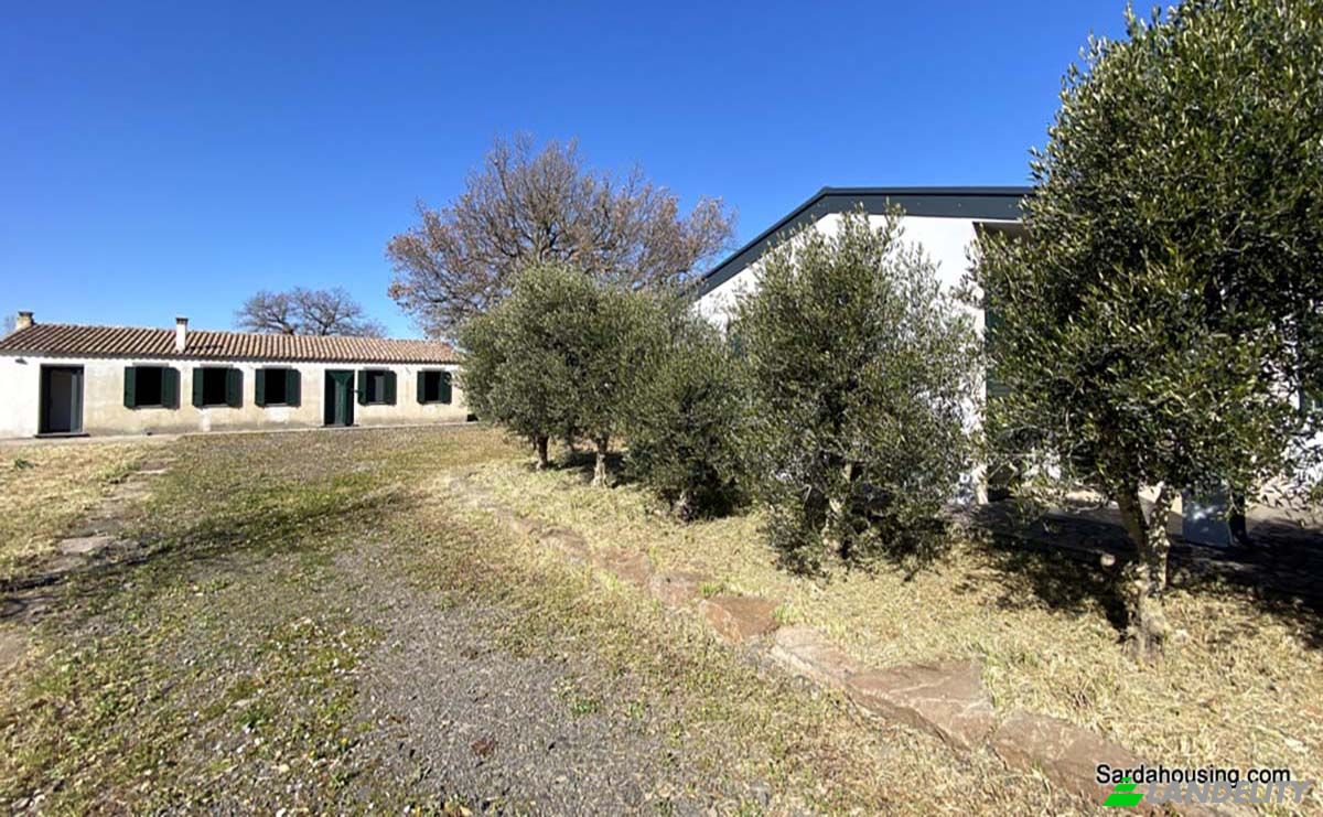 Single Family Home for Sale Strada senza nome, 09071 Abbasanta OR, Abbasanta, Province of Oristano, Sardinia, Italy. Photo 3