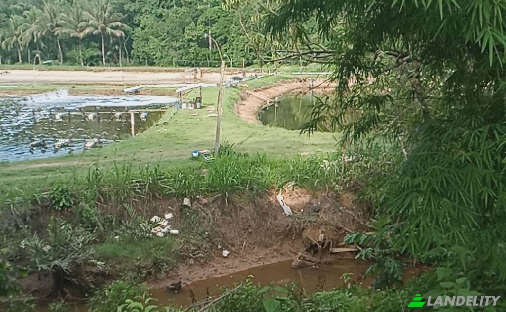 Lotto di terreno in vendita Tambon Lo Yung, Amphoe Takua Thung, Chang Wat Phang-nga 82140, Lo Yung, Takua Thung District, Phang-nga, Thailand. Foto 5