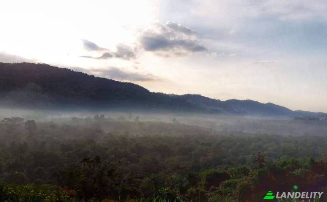 Lotto di terreno in vendita Tambon Lo Yung. Foto#6