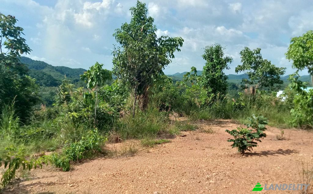 Lotto di terreno in vendita Tambon Lo Yung, Amphoe Takua Thung, Chang Wat Phang-nga 82140, Lo Yung, Takua Thung District, Phang-nga, Thailand. Foto 2
