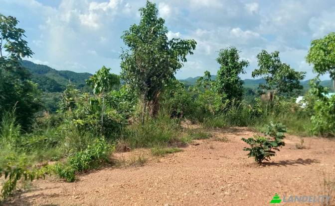 Lotto di terreno in vendita Tambon Lo Yung. Foto#2