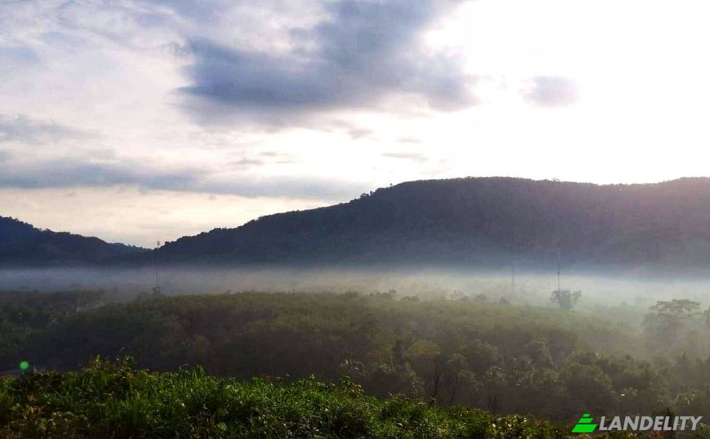 Lotto di terreno in vendita Tambon Lo Yung, Amphoe Takua Thung, Chang Wat Phang-nga 82140, Lo Yung, Takua Thung District, Phang-nga, Thailand. Foto 5