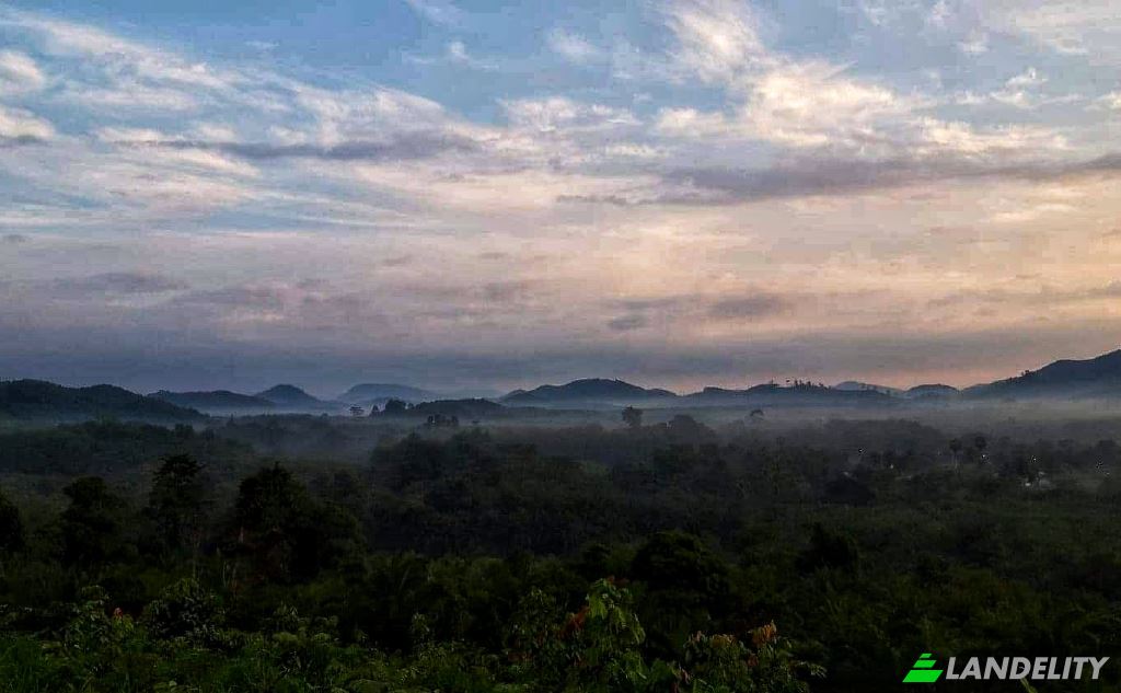 Lotto di terreno in vendita Tambon Lo Yung, Amphoe Takua Thung, Chang Wat Phang-nga 82140, Lo Yung, Takua Thung District, Phang-nga, Thailand. Foto 6