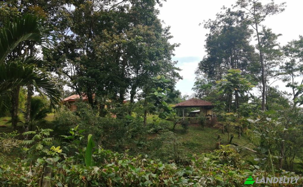 Casa de una sola familia en venta Vía sin nombre, Provincia de Alajuela, San Carlos, Costa Rica. Foto 12
