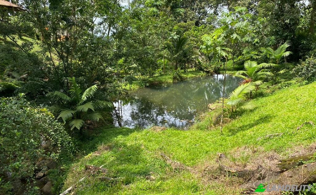 Casa de una sola familia en venta Vía sin nombre, Provincia de Alajuela, San Carlos, Costa Rica. Foto 10