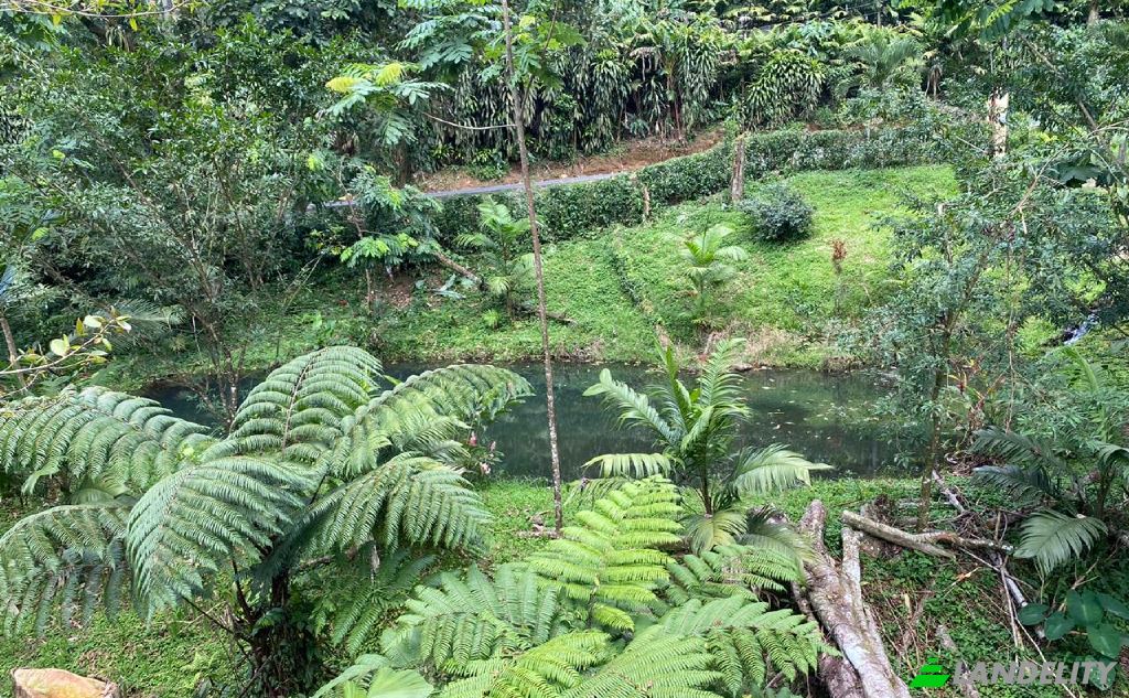 Casa de una sola familia en venta Vía sin nombre, Provincia de Alajuela, San Carlos, Costa Rica. Foto 11