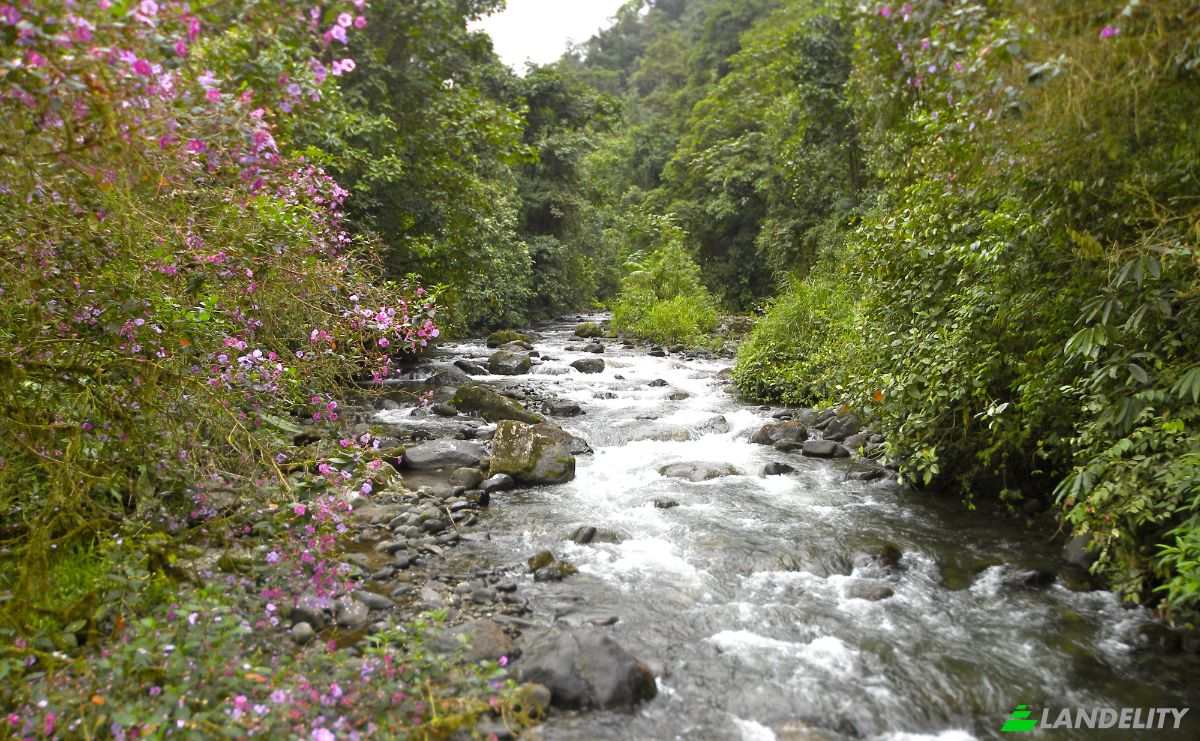 Einfamilienhaus zu verkaufen Via sin nombre, San Carlos, Los Bancos Canton, Pichincha, Ecuador. Foto 6