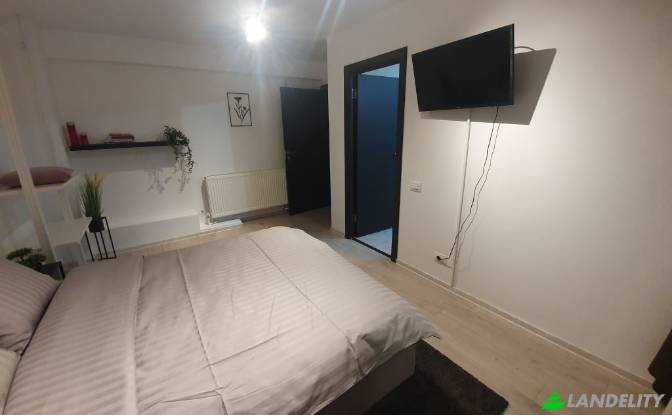 Single Family Home for Sale Strada Vasile Lupu. Photo#14
