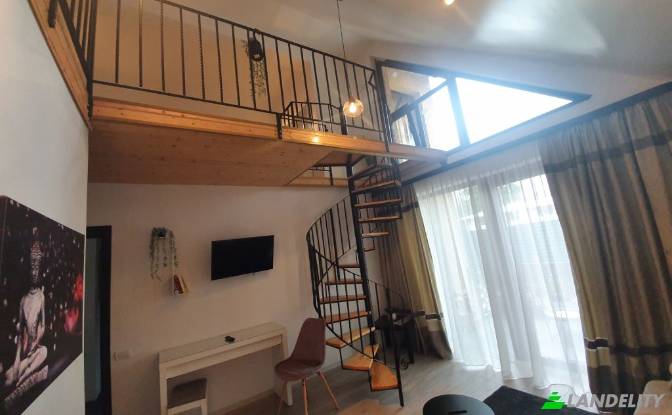 Single Family Home for Sale Strada Vasile Lupu. Photo#9