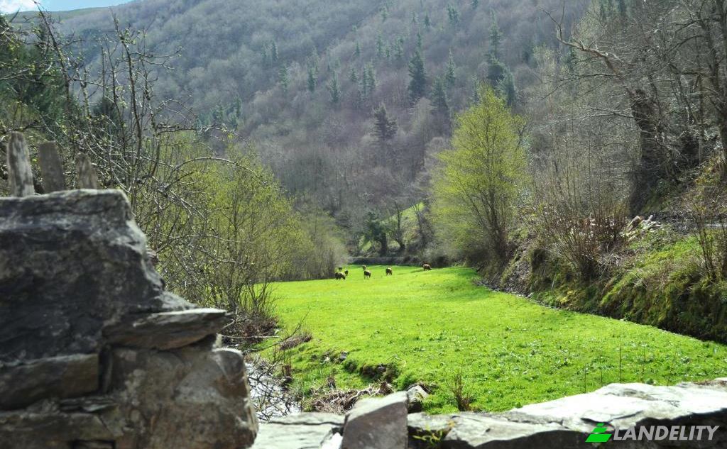 Grondperceel Te koop Via sin nombre, Cangas del Narcea, Asturias, Spain. Foto 1