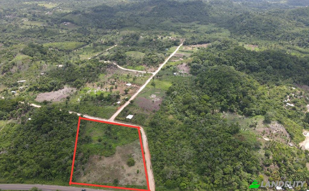 Lote de terreno en venta Hummingbird Hwy, Armenia, Cayo District, Belize. Foto 2