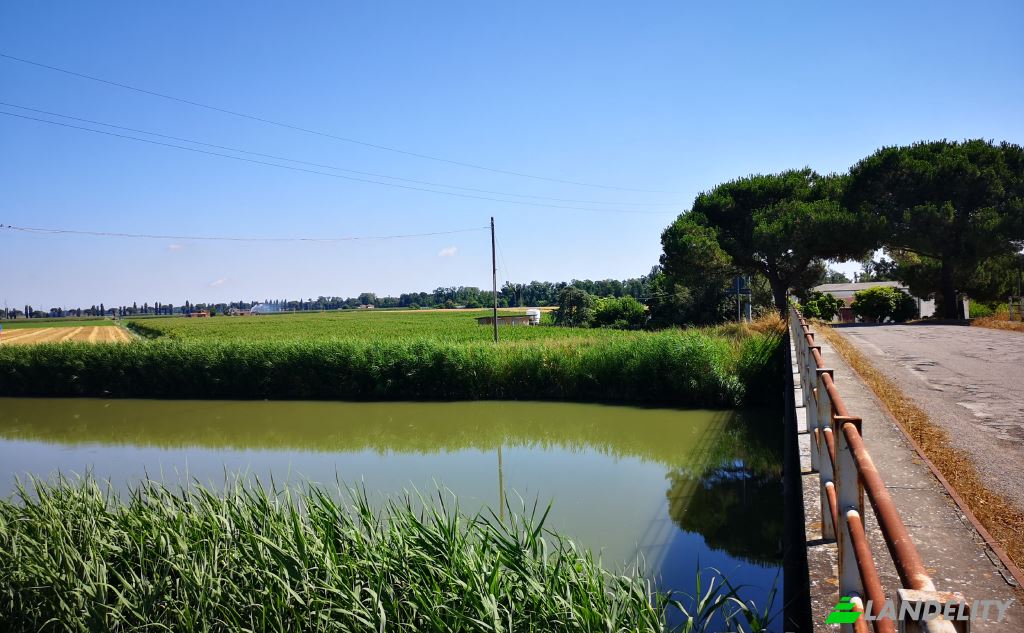 Casa de una sola familia en venta Via Vigna Dossone, 44026 Mesola FE, Mesola, Province of Ferrara, Emilia-Romagna, Italy. Foto 2
