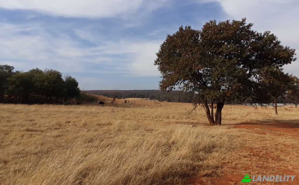 Land Lot for Sale Schoongezicht AH, Sedibeng District Municipality, Gauteng, South Africa. Photo 8