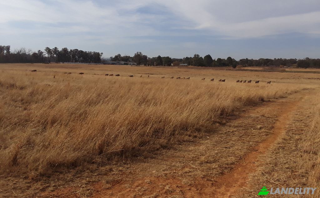Land Lot for Sale Schoongezicht AH, Sedibeng District Municipality, Gauteng, South Africa. Photo 9