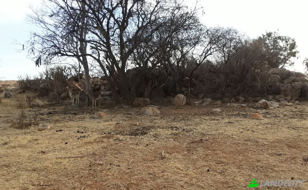 Land Lot for Sale Schoongezicht AH, Sedibeng District Municipality, Gauteng, South Africa. Photo 11