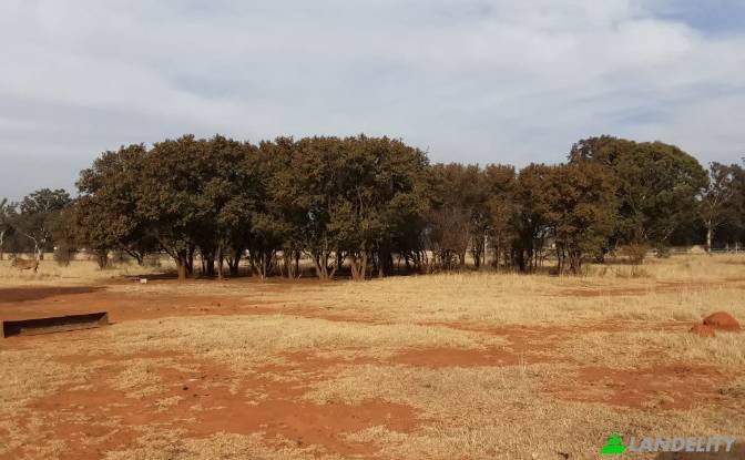 Land Lot for Sale Schoongezicht AH. Photo#12