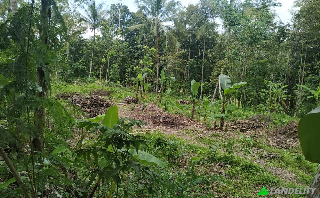Land Lot for Sale Jl Mayor Unus, Kemaran, Jogonegoro, Kec Mertoyudan, Kabupaten Magelang, Jawa Tengah 56172, Mertoyudan, Magelang Regency, Central Java, Indonesia. Photo 1