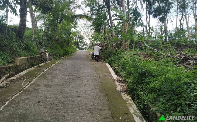 Land Lot for Sale Jl Mayor Unus, Kemaran. Photo#2 Land Lot for Sale Jl Mayor Unus, Kemaran. Photo#2