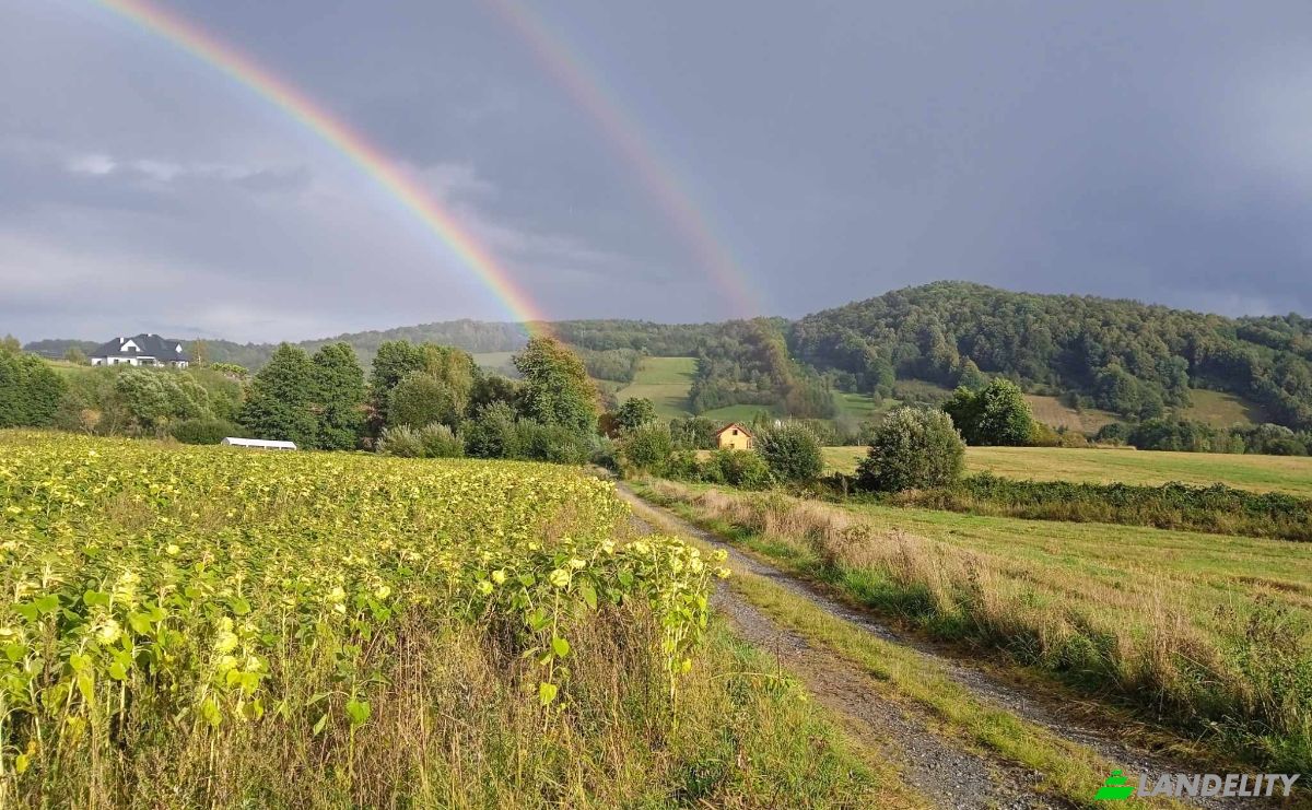 Einfamilienhaus zu verkaufen Laski, Zabkowice Slaskie County, Lower Silesian Voivodeship, Poland. Foto 6