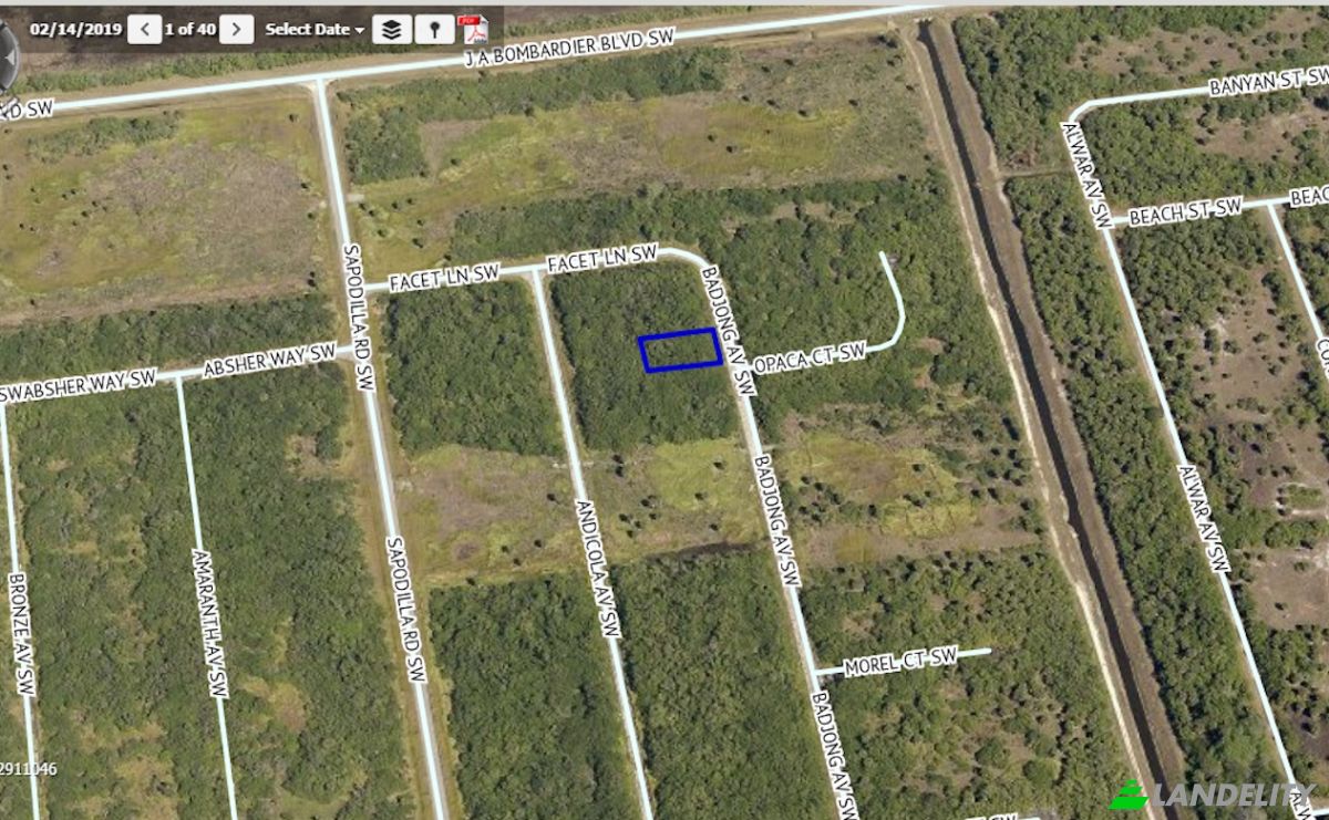 Land Lot for Sale Badjong Ave SW, Palm Bay, Brevard County, Florida, United States, FL 32908, USA. Photo 2