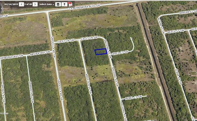 Land Lot for Sale Badjong Ave SW, Palm Bay. Photo#2