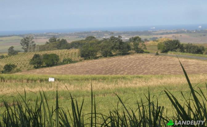 Land Lot for Sale Ethekwini. Photo#2