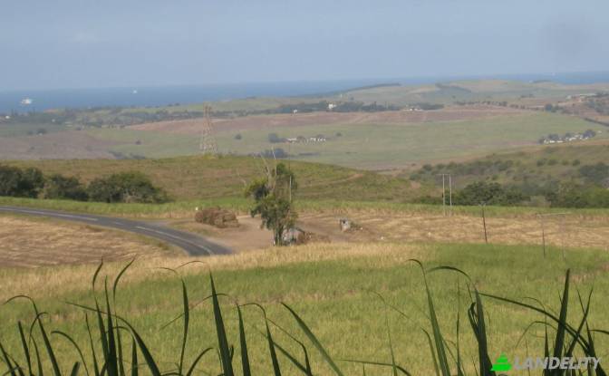 Land Lot for Sale Ethekwini. Photo#3