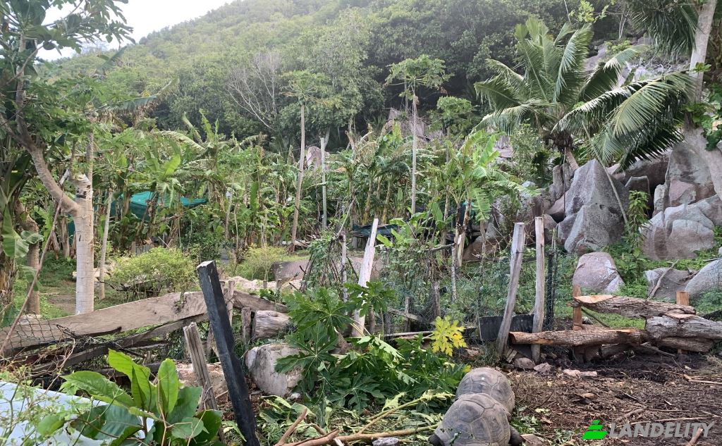 Land Lot for Sale La Passe, La Digue, Seychelles. Photo 2