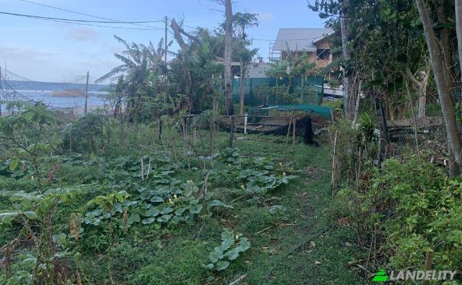 Land Lot for Sale La Passe, La Digue, Seychelles. Photo#6