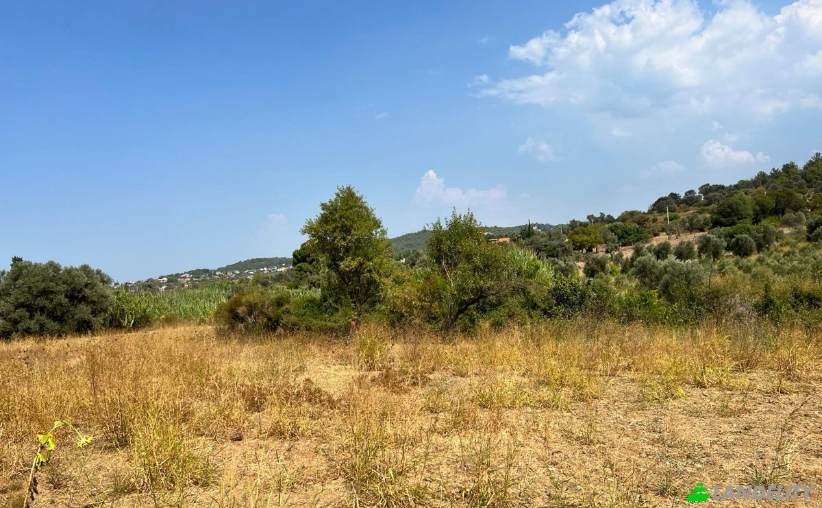 Land Lot for Sale Kalabak, Sk No:, 35430 Urla Izmir, Urla Izmir, Urla, Izmir, Turkiye. Photo 6