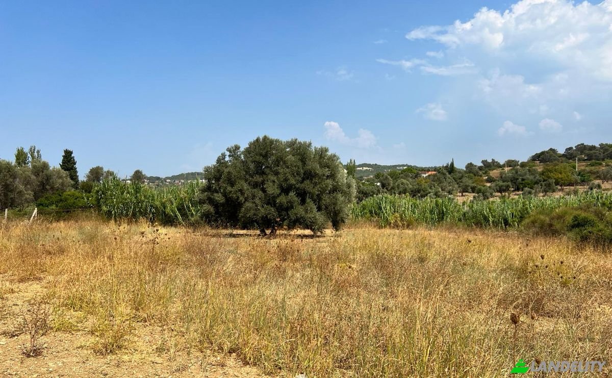 Land Lot for Sale Kalabak, Sk No:, 35430 Urla Izmir, Urla Izmir, Urla, Izmir, Turkiye. Photo 8