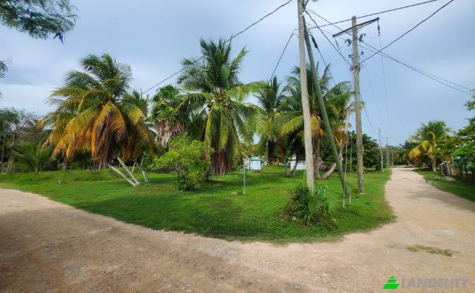 Land Lot for Sale Consejo Village Rd, Consejo. Photo#2 Land Lot for Sale Consejo Village Rd, Consejo. Photo#2