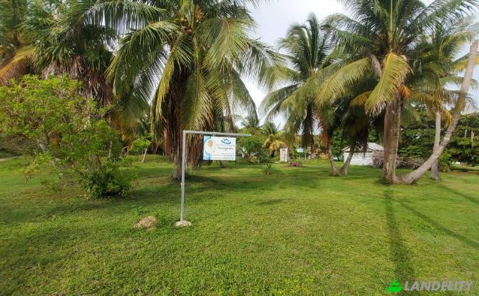 Land Lot for Sale Consejo Village Rd, Consejo. Photo#3 Land Lot for Sale Consejo Village Rd, Consejo. Photo#3