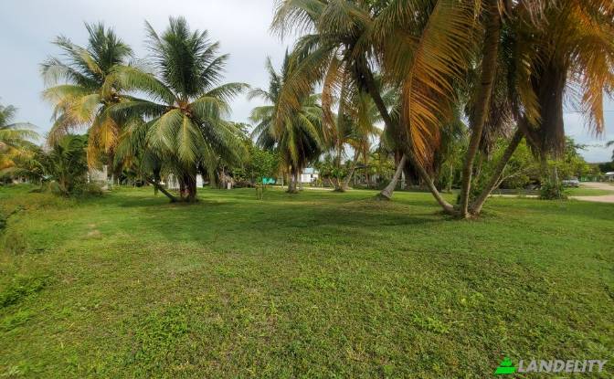 Land Lot for Sale Consejo Village Rd, Consejo. Photo#4 Land Lot for Sale Consejo Village Rd, Consejo. Photo#4