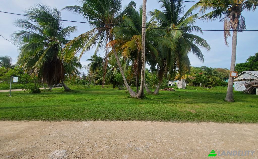 Land Lot for Sale Consejo Village Rd, Consejo, Corozal District, Belize. Photo 5