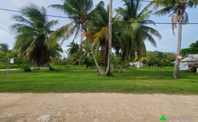 Land Lot for Sale Consejo Village Rd, Consejo. Photo#5 Land Lot for Sale Consejo Village Rd, Consejo. Photo#5