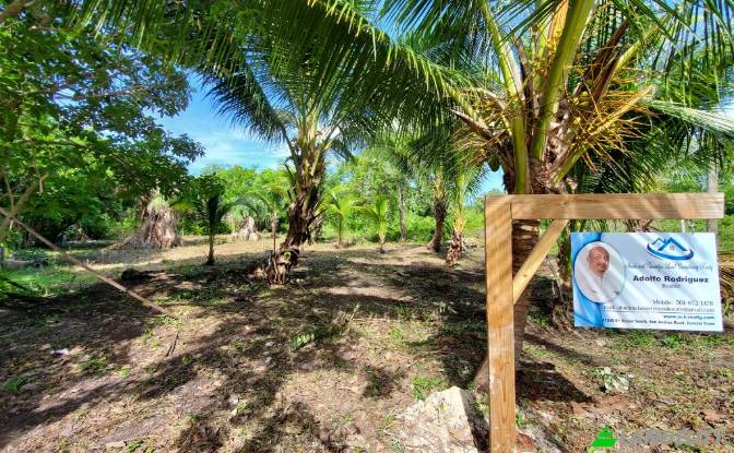 Land Lot for Sale Corozal, Corozal District. Photo#1