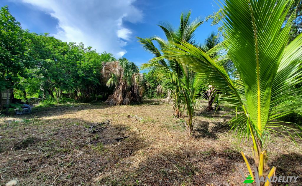 Land Lot for Sale Corozal, Corozal District, Belize. Photo 2