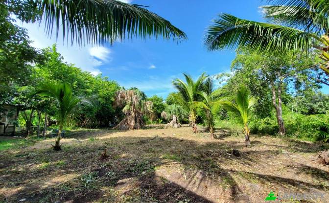 Land Lot for Sale Corozal, Corozal District. Photo#3
