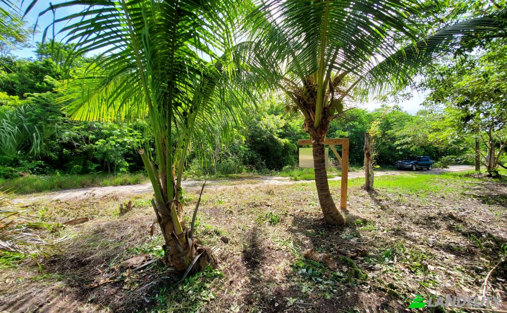 Land Lot for Sale Corozal, Corozal District, Belize. Photo 4
